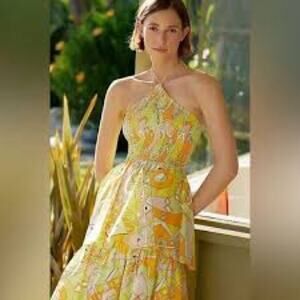 Anthropologie  Tiered Halter Maxi Dress
S/W/F NWT size S